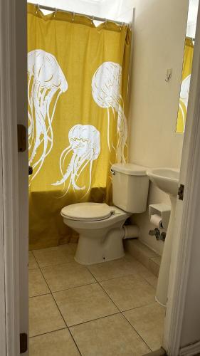 圣地亚哥Casa Fuerteventura的浴室设有卫生间和黄色的淋浴帘