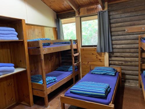 红山南Iluka Retreat Glamping Village的小木屋内带双层床的客房