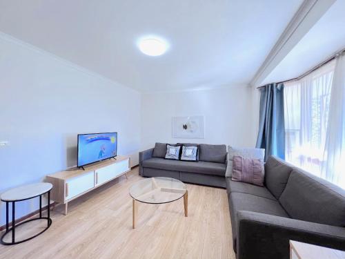 Mount WaverleyBrilliant Modern Flat @Mount Waverley *Smart TV的带沙发和电视的客厅