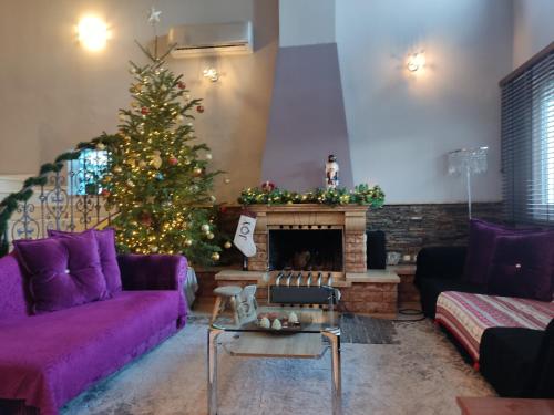 沃洛斯Dana's Luxury Maisonette的客厅配有圣诞树和紫色沙发