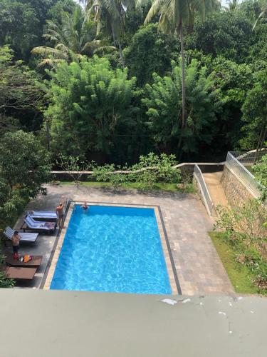 乌纳瓦图纳Hotel Paradiso,的后院游泳池的顶部景色