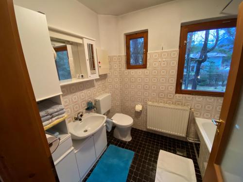 绍滕斯Ferienhaus Schuchter的一间带水槽和卫生间的浴室