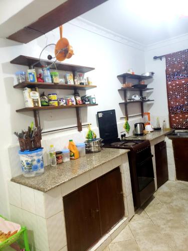 姆万扎Dwina Apartements的厨房配有炉灶和台面