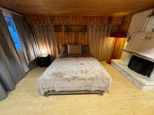 波什格伦Villa with pool and sauna的一间卧室配有一张床和一个壁炉