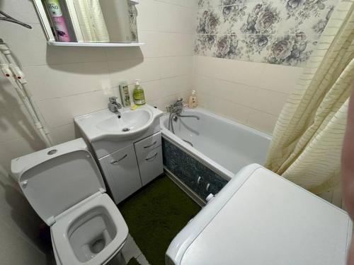 卡拉甘达Уютная квартира в центре города的一间带卫生间和水槽的小浴室