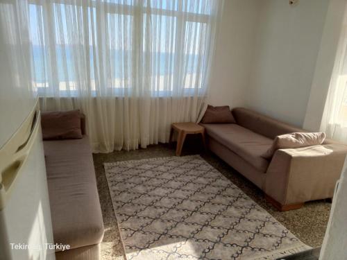 MarmaraereglisiSultanköy Apart的带沙发和窗户的客厅