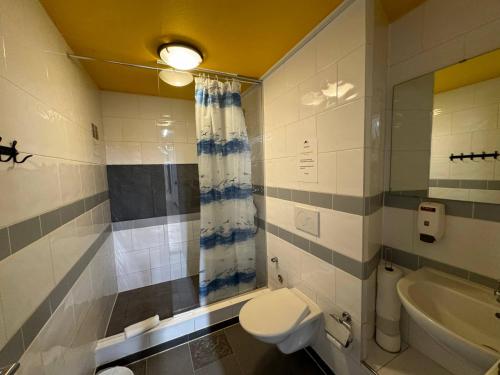 因特拉肯市中心公寓的一间带卫生间和水槽的浴室