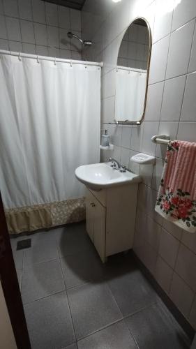 GualeguaychúLo de Silvia的一间带水槽和淋浴帘的浴室