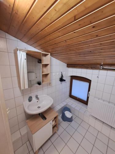 HohenwestedtFerienwohnung Schulze的一间带水槽和镜子的浴室