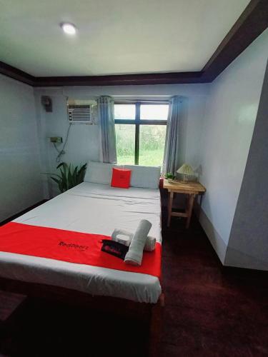 独鲁万San Juanico Travellers Inn - RedDoorz的一间卧室配有一张带红色毯子的床和窗户。