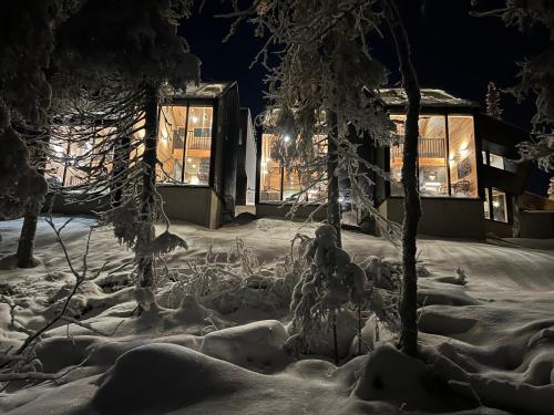 索特Villa Auroras Pöllö的一座雪覆盖的院子,晚上有一座建筑