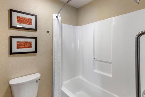 麦岭Comfort Inn Denver West Arvada Station的一间带卫生间和淋浴的浴室
