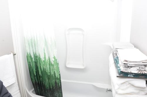 圣约翰斯Sam & Comfort Home的浴室内设有带绿色淋浴帘的淋浴