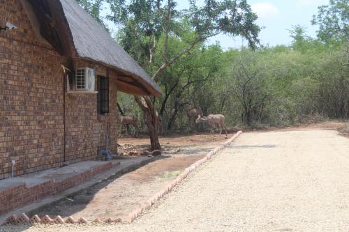 玛洛斯帕克Kruger Nest的两只动物站在建筑物旁边的房子
