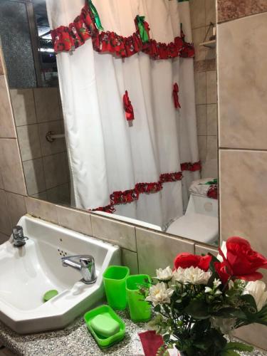 圣地亚哥Don Quijote Family Homestay的浴室设有水槽、镜子和鲜花