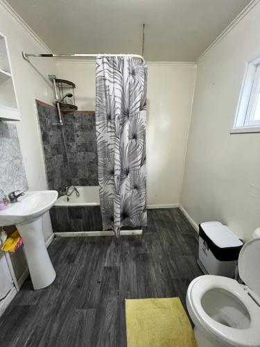 蓬塔阿雷纳斯Casa central en Punta Arenas的一间带卫生间和淋浴帘的浴室