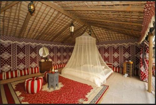 迪拜Al Marmoom Oasis “Luxury Camping & Bedouin Experience”的一间铺有红地毯的宿舍间
