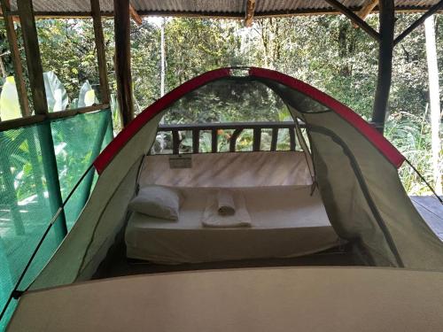 德雷克Rio Agujitas Eco Farm hostel and Tours的帐篷内有一张床