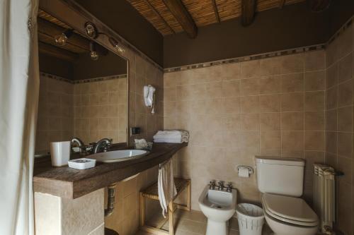 蒂尔卡拉卡瓦尼亚斯阿加坎托山林小屋的一间带卫生间和水槽的浴室
