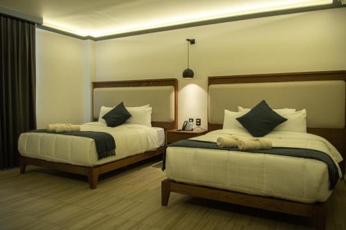 埃塞基耶尔-蒙特斯HOTEL MERLOT INN的一间酒店客房,房间内设有两张床