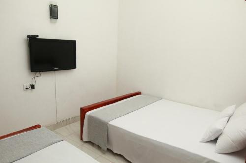 蒂瑟默哈拉默Black Panther Yala的一间卧室配有一张床和一台平面电视