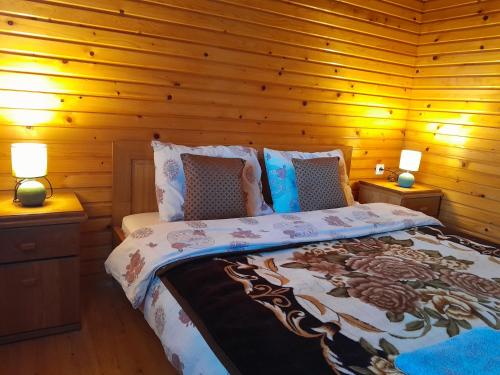 莫伊科瓦茨ECO ViLLAGE CORIC的一间卧室配有一张带木墙和两盏灯的床。