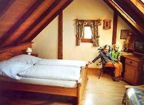 库姆巴赫施瓦兹霍夫兰德酒店的两个孩子坐在阁楼卧室