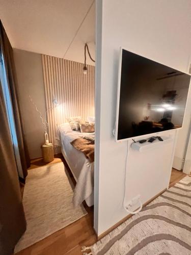 塞伊奈约基2 Room / Central Railway / Free parking的一间卧室配有一张床和一台平面电视