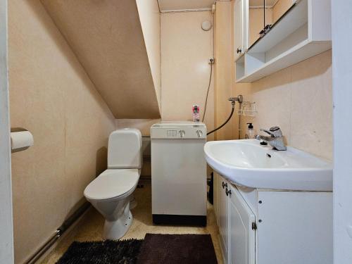 YlitornioMäki-mummola的一间带卫生间和水槽的小浴室