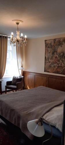 美因茨罗素街老城公寓的一间卧室配有一张大床和一个吊灯。