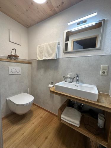埃尔比格纳尔普Haus Walch的一间带水槽、卫生间和镜子的浴室