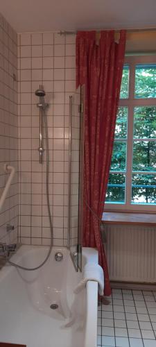 美因茨罗素街老城公寓的带淋浴和卫生间的浴室以及窗户。