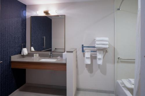 萨默塞特Fairfield by Marriott Inn & Suites Somerset的一间带水槽和镜子的浴室