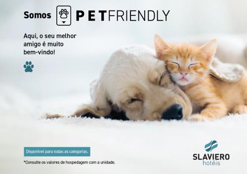 圣若泽杜斯皮尼艾斯Slaviero Curitiba Aeroporto的狗和猫彼此相邻