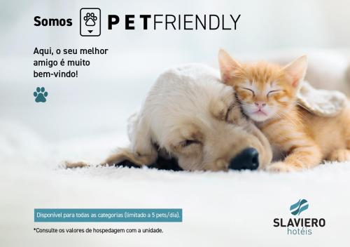 蓬塔格罗萨Slaviero Ponta Grossa的一只狗和一只猫彼此相邻