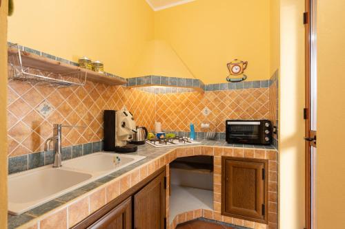 特拉佩托Casa Delle Pomelie的厨房配有水槽和微波炉