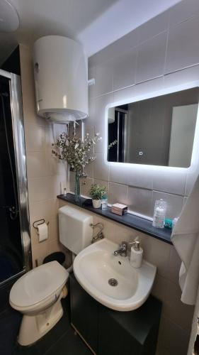 武科瓦尔STUDIO APARTMAN 404的一间带水槽、卫生间和镜子的浴室