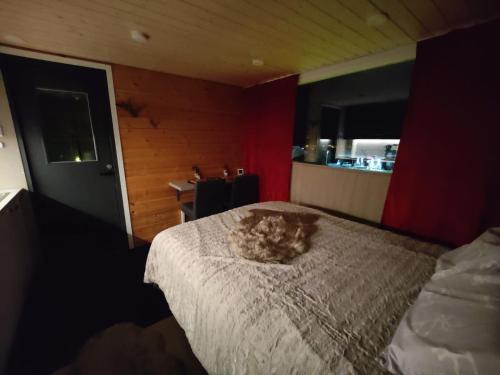 罗瓦涅米Lapland Aurora cabin的一只猫躺在卧室的床上