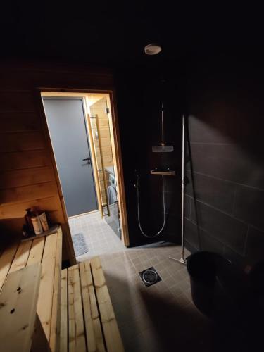 罗瓦涅米Lapland Aurora cabin的带淋浴的浴室和玻璃门