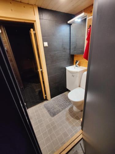 罗瓦涅米Lapland Aurora cabin的一间带卫生间和水槽的浴室