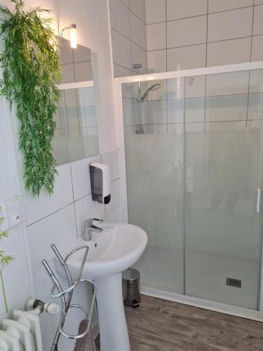 Saint-Jean-de-la-PorteLe St Jean Bis的白色的浴室设有水槽和淋浴。