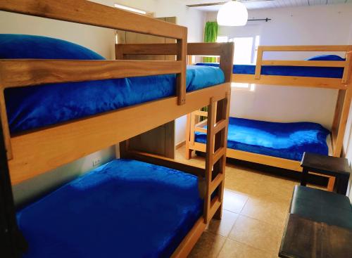 萨兰托Casa San Pedro - Salento的客房设有三张双层床,配有蓝色床单