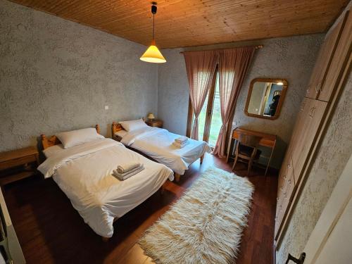 阿拉霍瓦Orino Livadi Mount Villa IV的一间卧室配有两张床、镜子和地毯