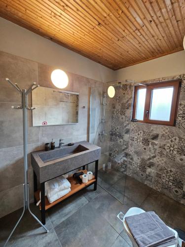阿拉霍瓦Orino Livadi Mount Villa IV的一间带水槽和淋浴的浴室