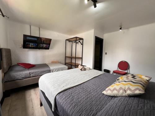 维纳德马VOY Hostales - 4 Norte的一间卧室配有两张床和红色椅子