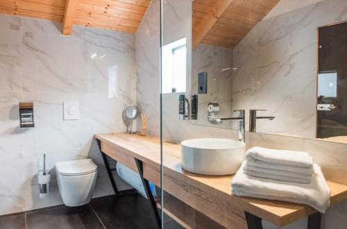 GrkavešćakGlamping Resort Toplice Sveti Martin的一间带水槽和卫生间的浴室
