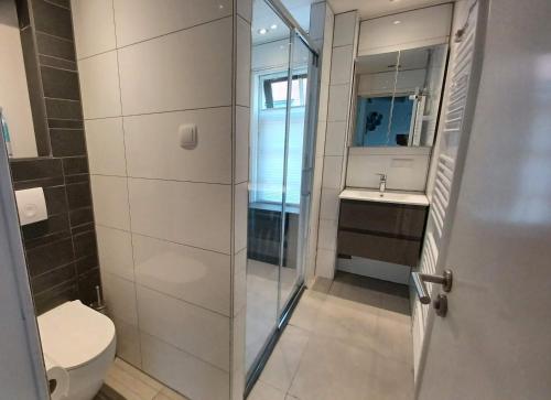 WinsumKarakteristiek huis in centrum Winsum met nieuwe badkamer的带淋浴、卫生间和盥洗盆的浴室