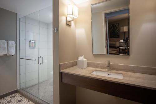 圣安东尼奥Hotel Contessa - Suites on the Riverwalk的浴室配有盥洗盆和带镜子的淋浴