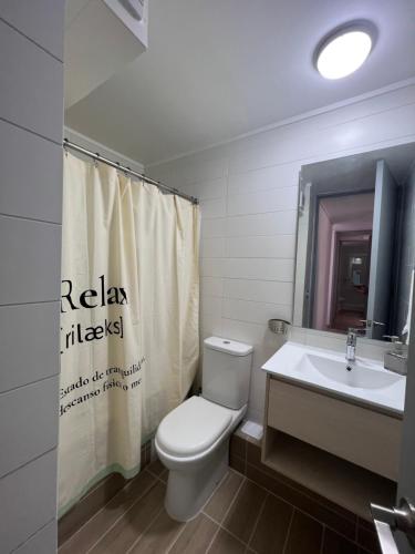 巴伊亚英格莱萨Dpto 3D 2B + Quincho propio By Terrabahia的浴室设有卫生间、水槽和淋浴帘