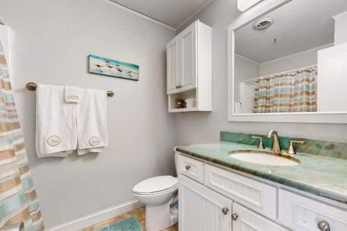 FriscoDolphin Tales的一间带水槽、卫生间和镜子的浴室